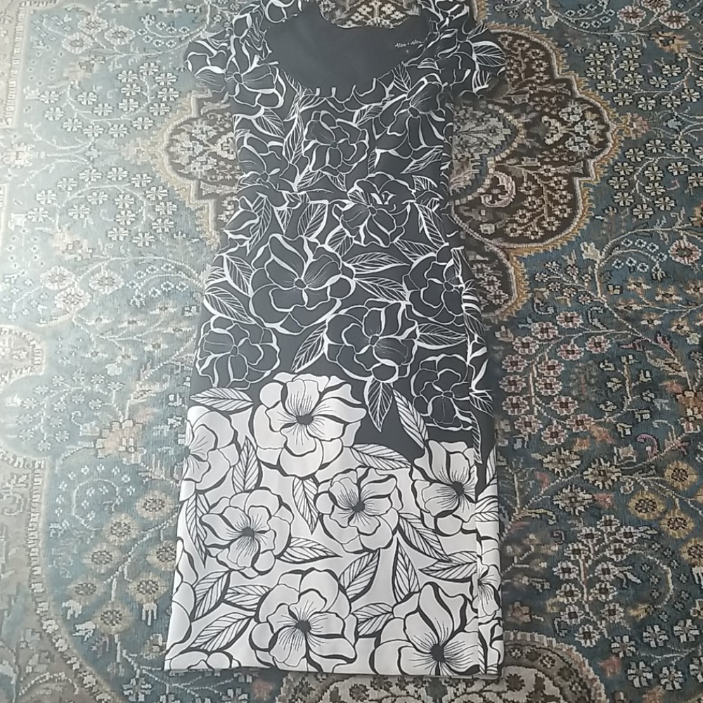 Alex & Alex Floral B&W Dress